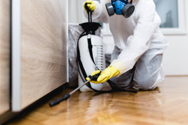 Best Best Pest Control Companies  in Wright City, MO