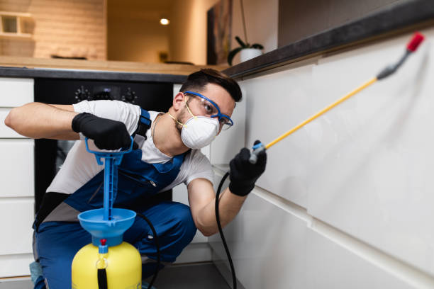 Best Commercial Pest Control Services  in Wright City, MO