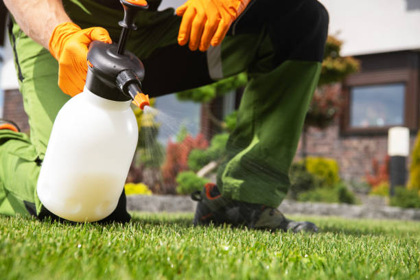 Best Commercial Pest Control Services  in Wright City, MO