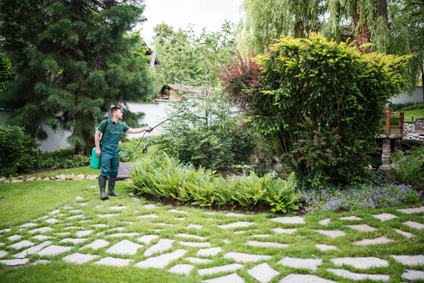 Professional Pest Control in Wright City, MO
