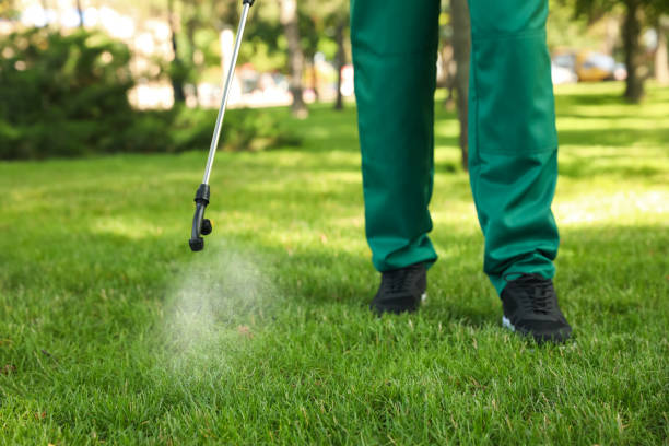 Best Rat Extermination Near Me  in Wright City, MO