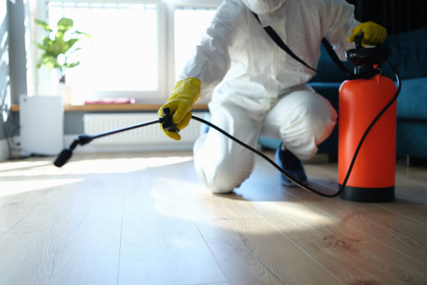 Best Flea Control Services  in Wright City, MO