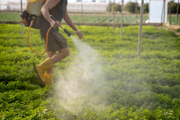 Pest Control for Restaurants in Wright City, MO