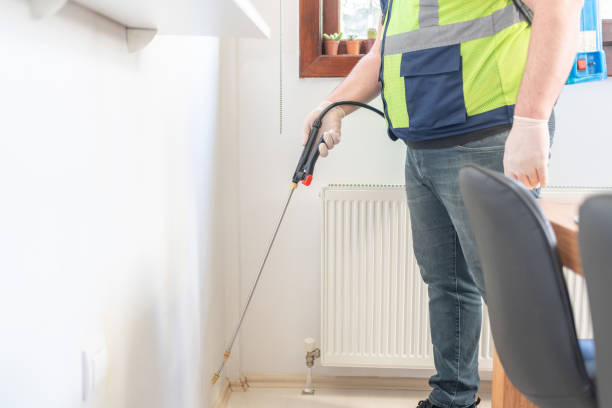 Best Pest Removal Services  in Wright City, MO