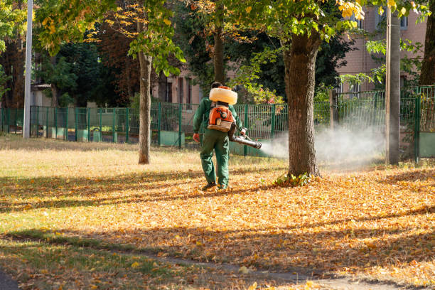 Flea Control Services in Wright City, MO
