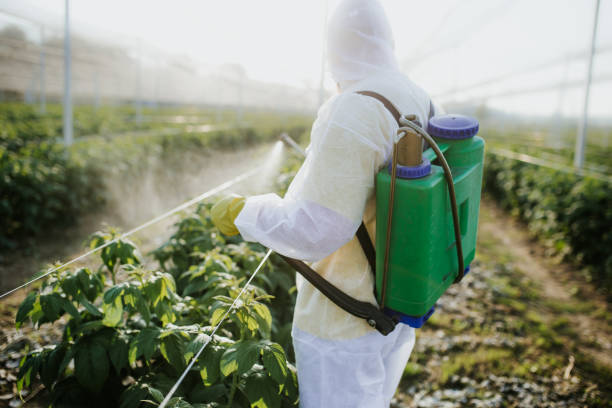 Best Mosquito Control Services  in Wright City, MO